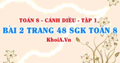 Bài 2 trang 48 SGK Toán 8 tập 1 Cánh Diều